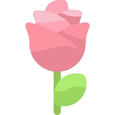 Pink Rose